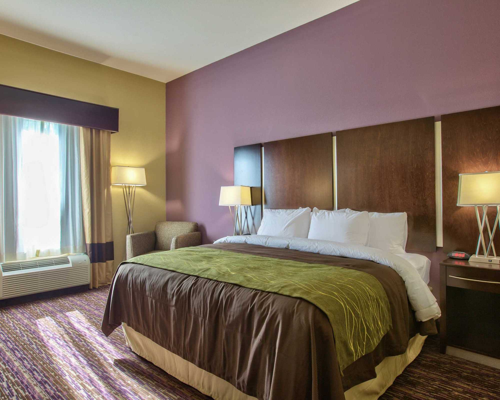 Comfort Inn & Suites Dothan East Habitación foto